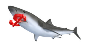 shark with dollar